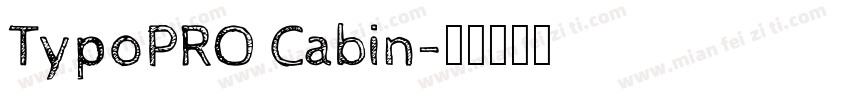 TypoPRO Cabin字体转换